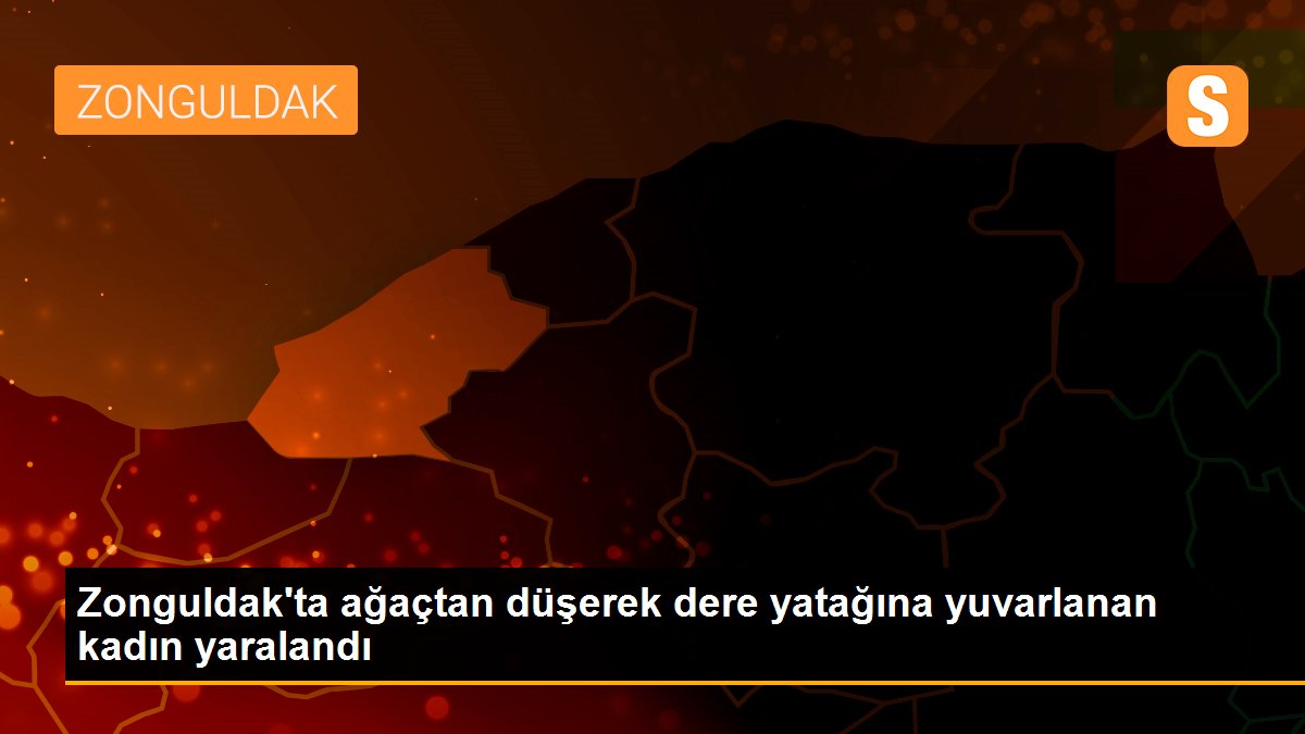 Zonguldak\'ta ağaçtan düşerek dere yatağına yuvarlanan kadın yaralandı