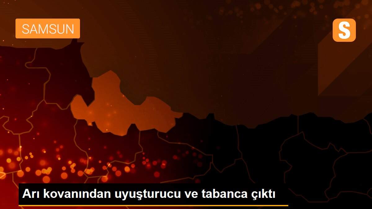 Arı kovanından uyuşturucu ve tabanca çıktı