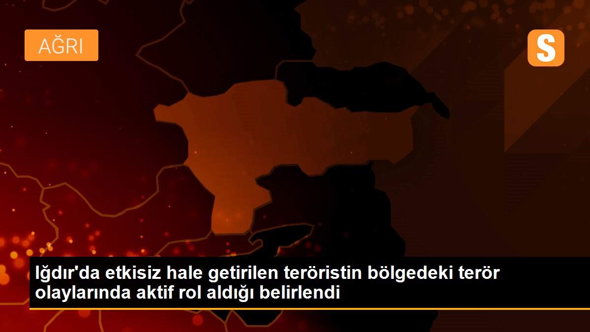 Iğdır\'da etkisiz hale getirilen teröristin bölgedeki terör olaylarında aktif rol aldığı belirlendi