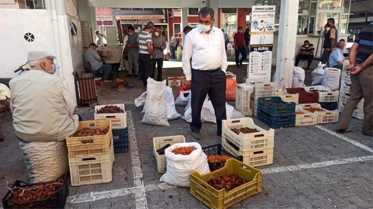 Kayısı üreticilerinden TMO\'nun alım fiyatı değerlendirmesi