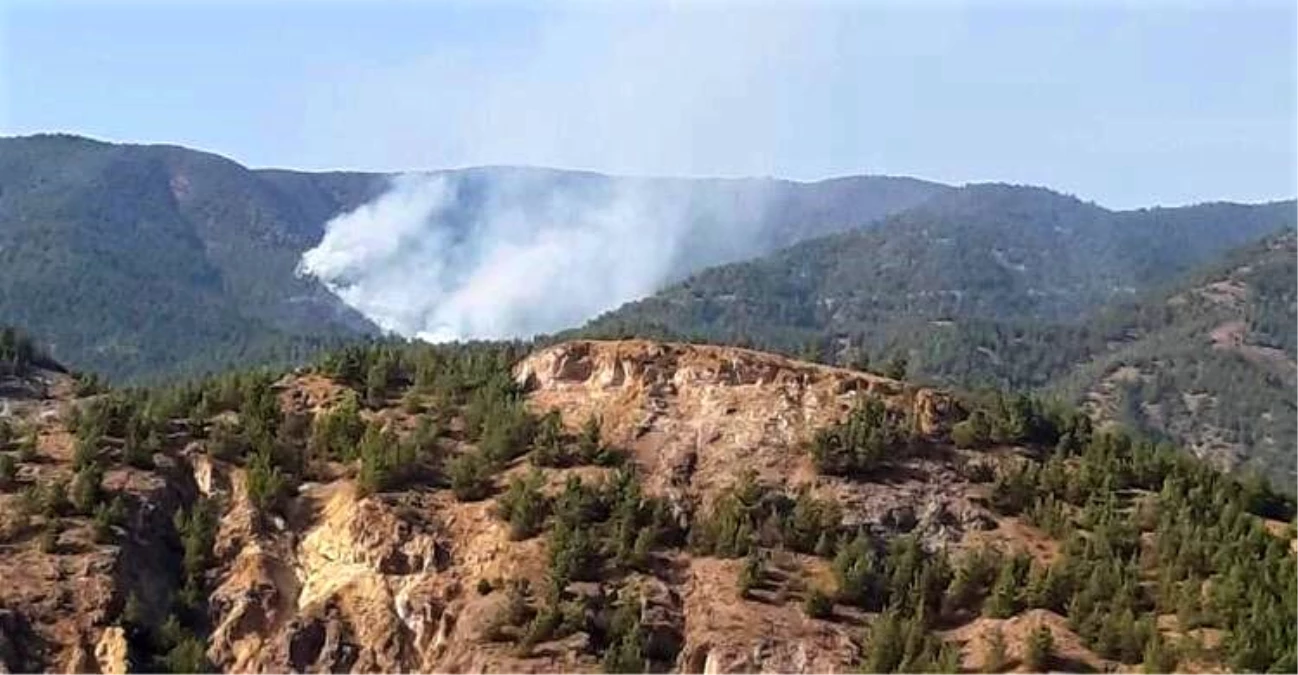 Son dakika haberi! Mihalgazi\'deki orman yangını için Ankara\'dan helikopter geliyor