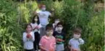 Öğrenciler için bahçe oluşturdu