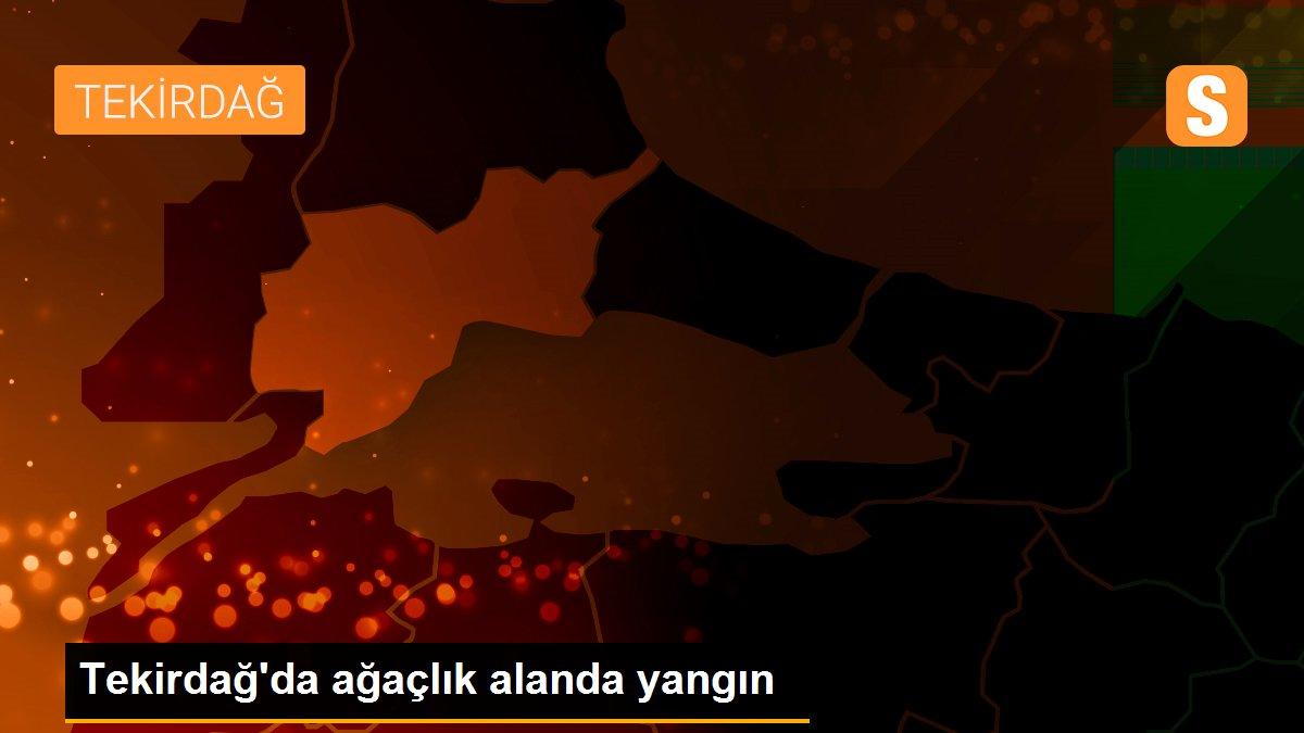 Son Dakika | Tekirdağ\'da ağaçlık alanda yangın