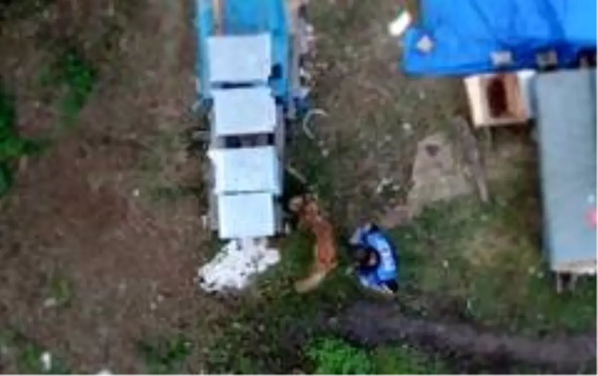 Polis drone ile takip edip arı kovanını içinde uyuşturucu ve silah ele geçirdi