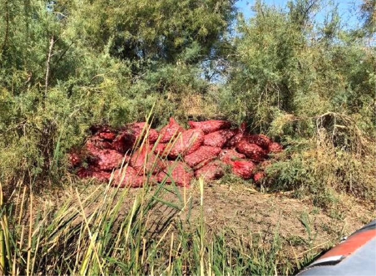 Yunanistan\'a götürülmek istenen 5 ton midye ele geçirildi