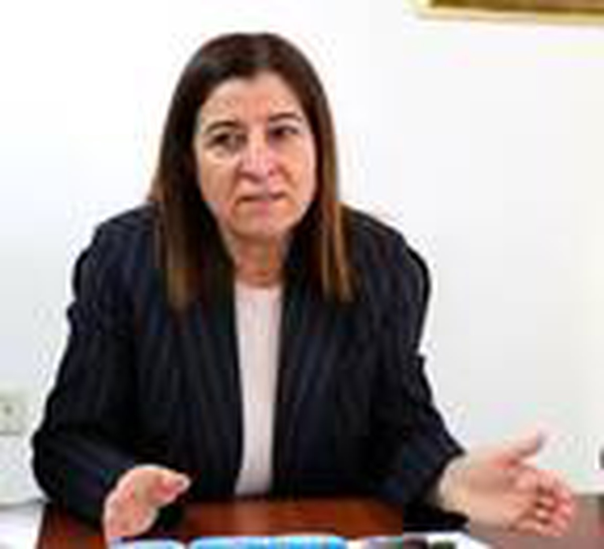 AK Partili Aksal: Edirne, kadına şiddeti önlemede pilot iller arasında