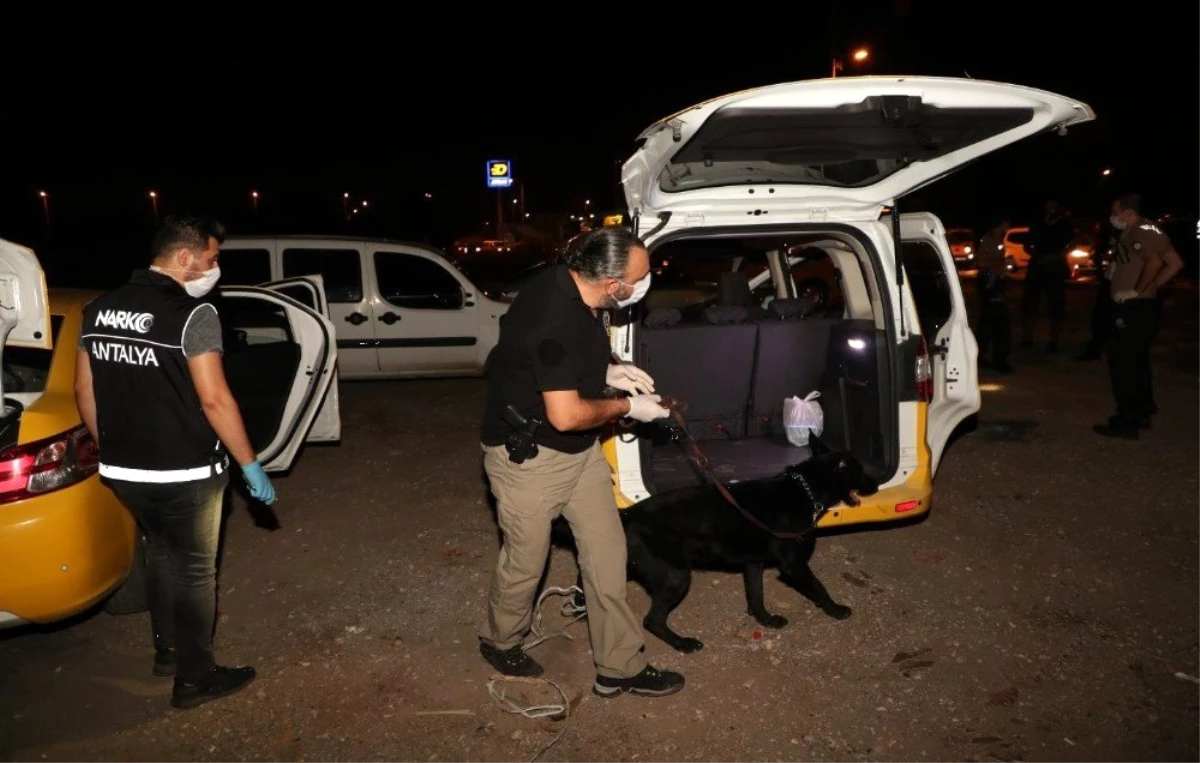 Son dakika haberleri... Antalya\'da 250 polisle şok narkotik uygulaması