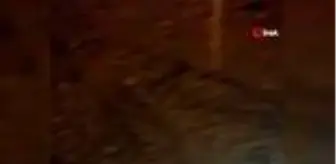 Artvin'in Yusufeli ilçesinde 20 dakikalık yağış hayatı olumsuz etkiledi