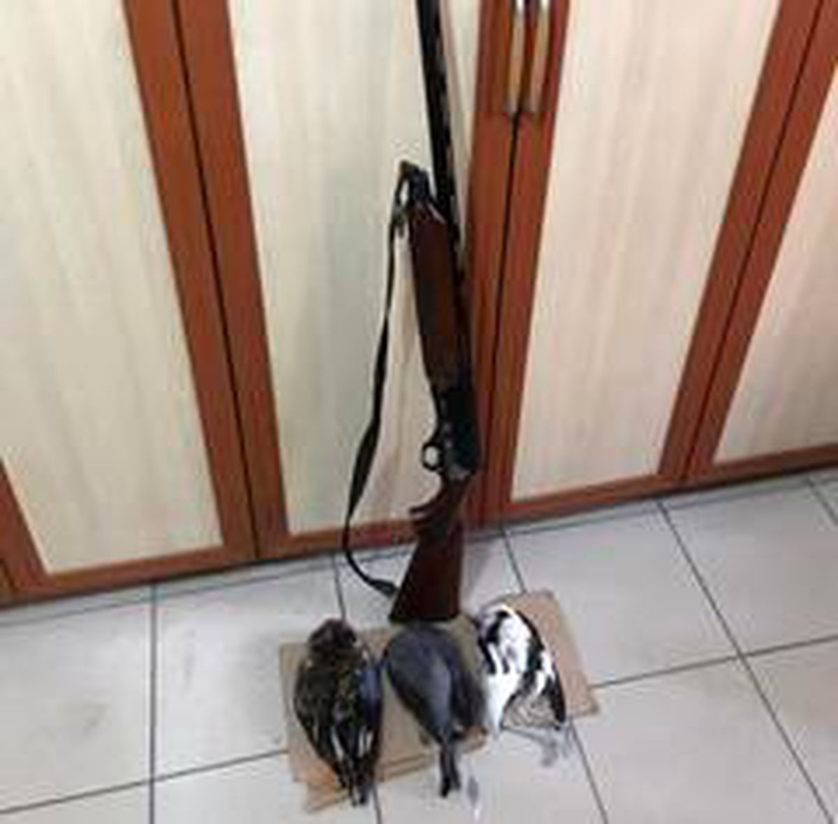 Bitlis\'te kaçak avlananlara ceza