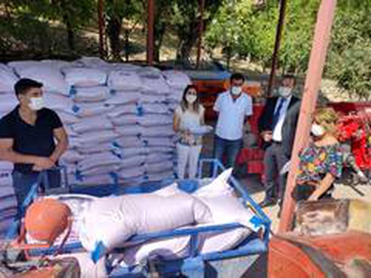 Çiftçilere 26 ton buğday tohumu dağıtıldı