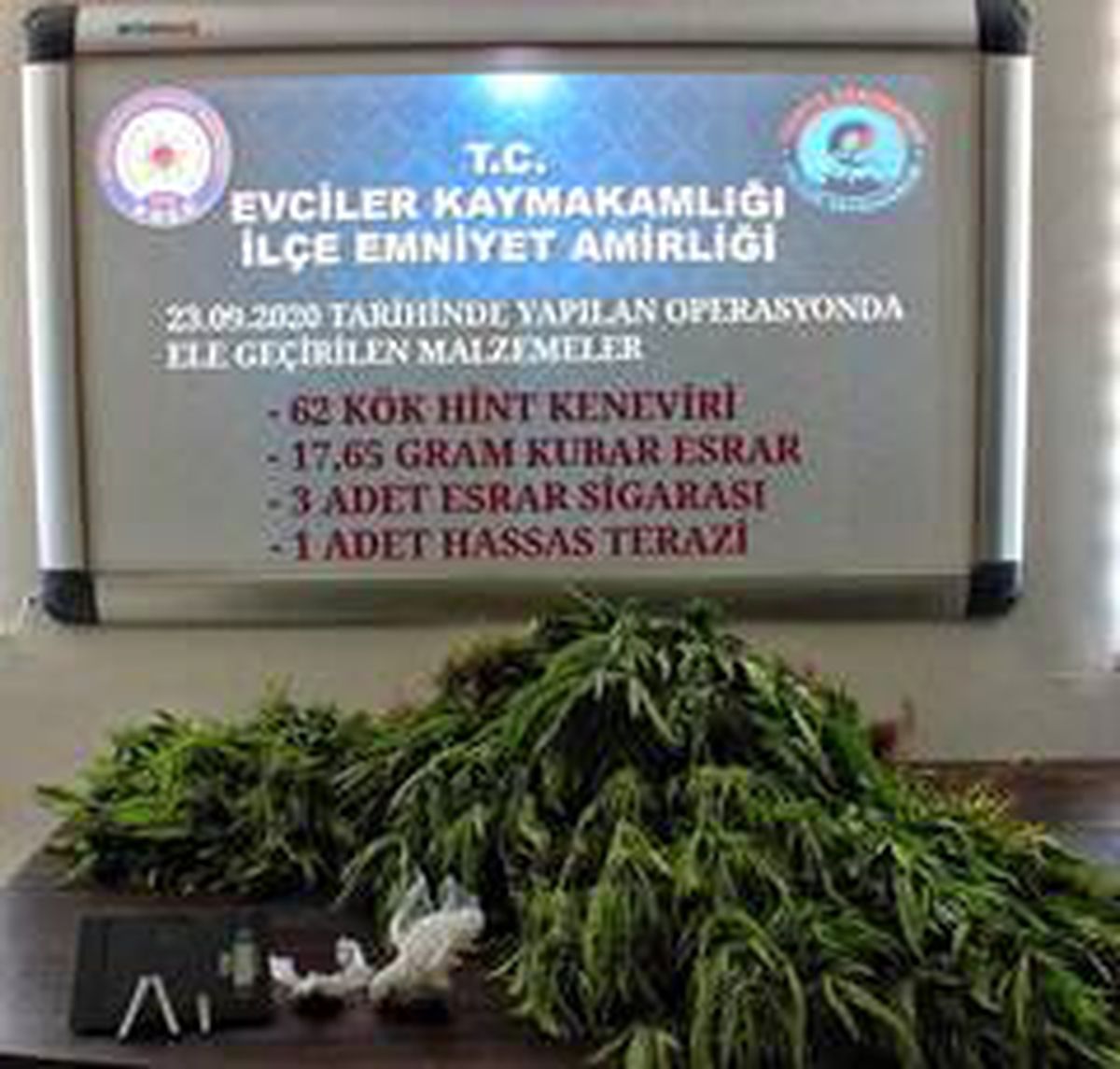 Evinin bahçesinde kenevir yetiştiren şahıs tutuklandı