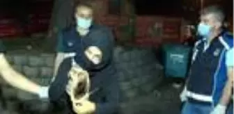 Karaköy'de yakalanan dilencilerin rahatlığı pes dedirtti