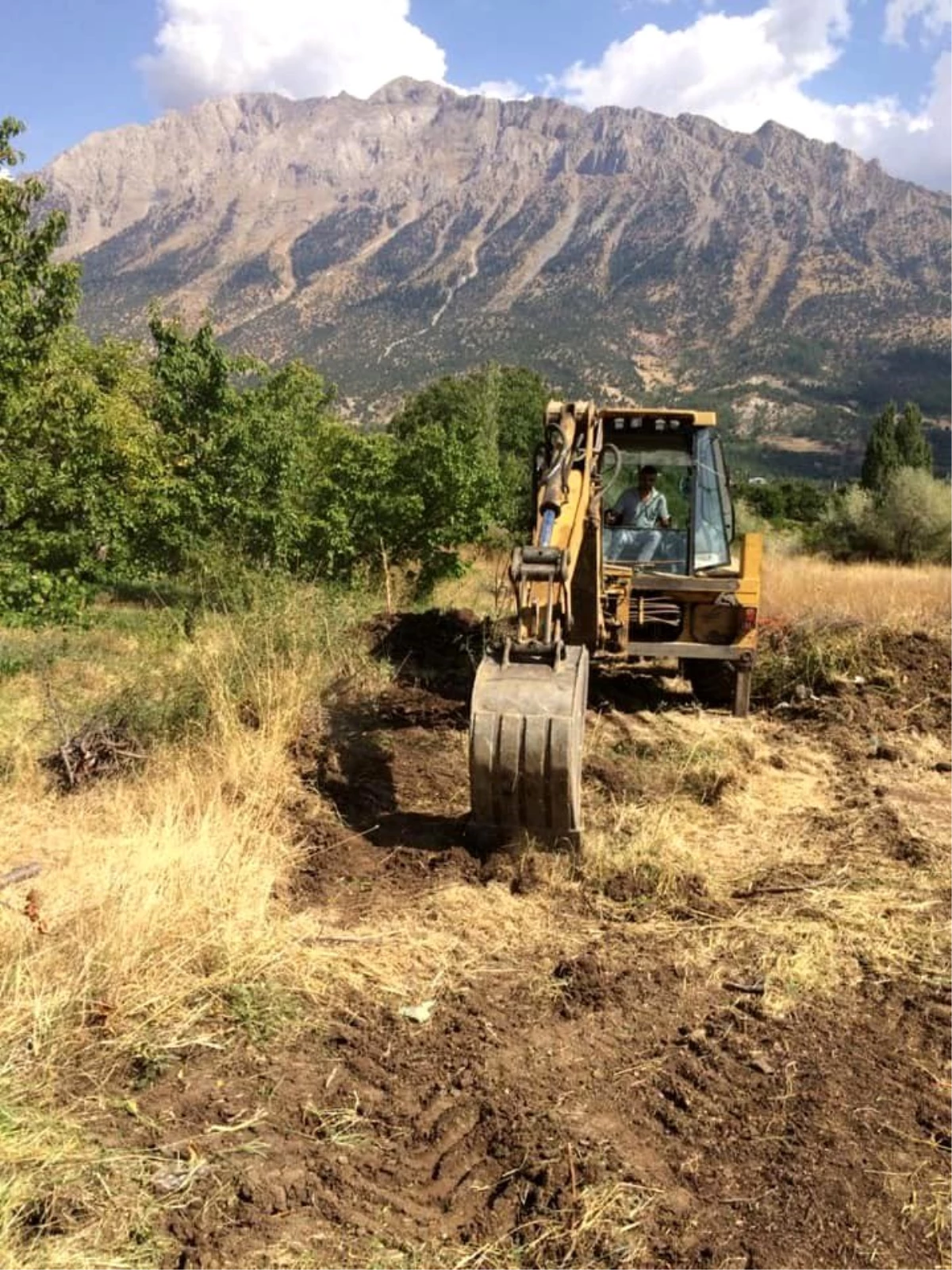 Pozantı\'da karakılçık buğday üretilecek