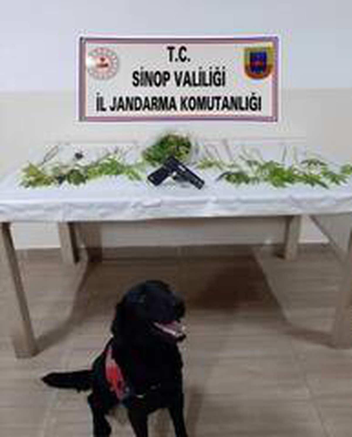 Sinop\'ta uyuşturucu operasyonu: 2 gözaltı