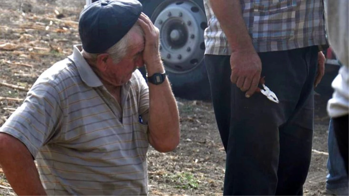 Talihsiz çiftçi, ürünlerinin yanmasını gözyaşı dökerek izledi