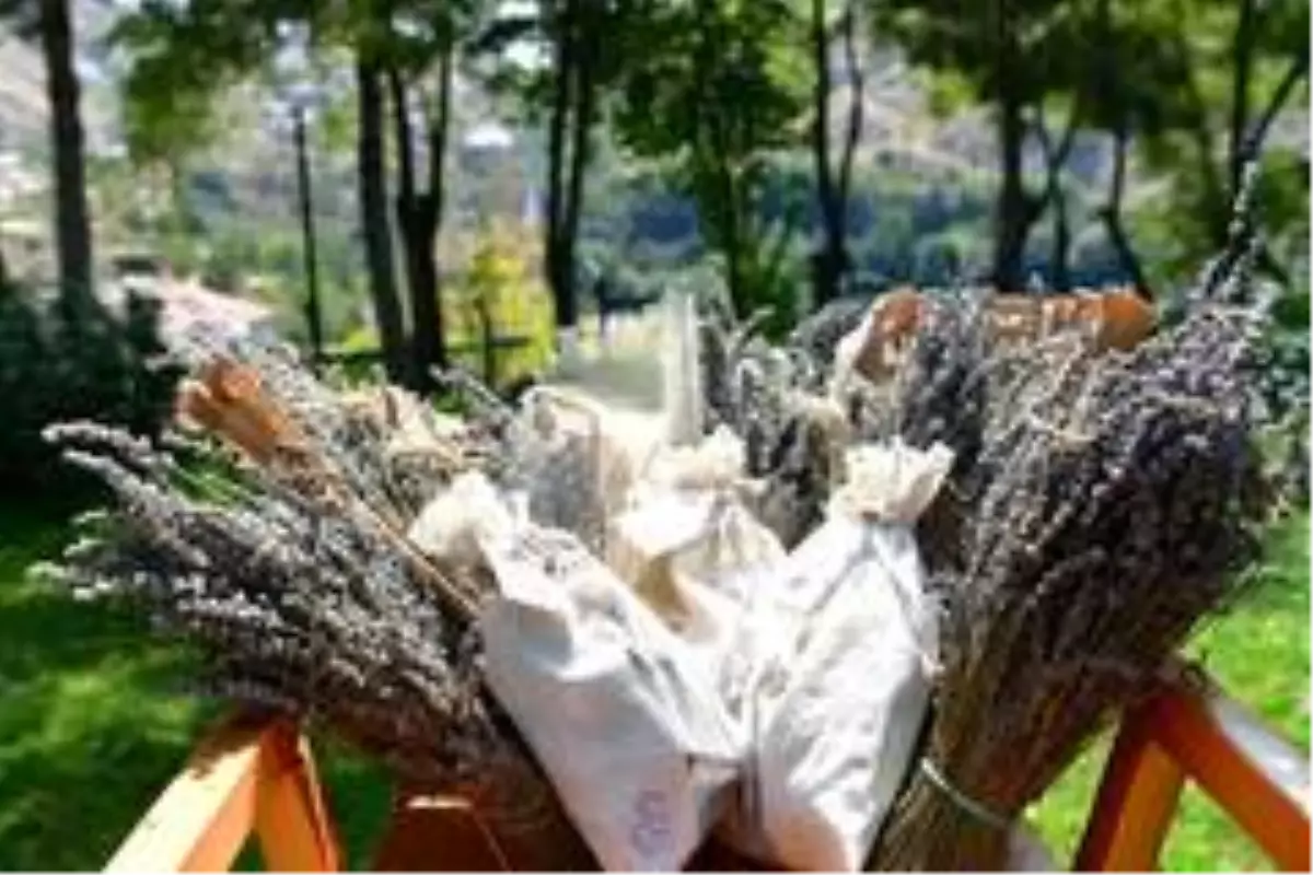 Türkiye Kooperatifler Fuarı\'nda Mamak Standına yoğun ilgi