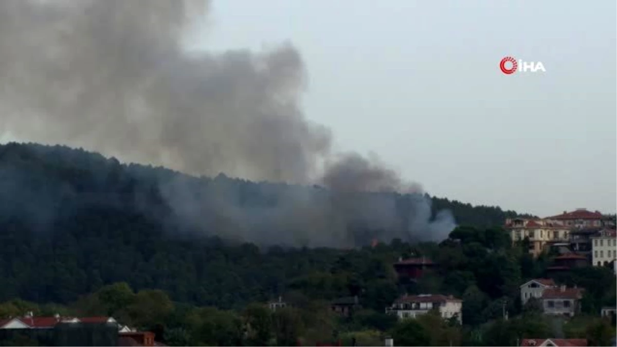 Anadolu Hisarı\'ndaki orman yangınına müdahale sürüyor
