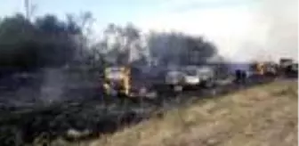 'Arı kovanlarımı kasıtlı yaktılar'