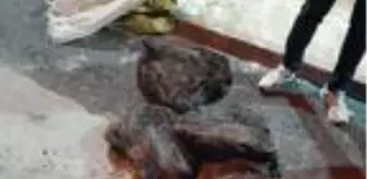 Çaldıkları 154 bin lira değerindeki kabloları 2 bin liraya sattılar! Hurdacıların da başını yediler