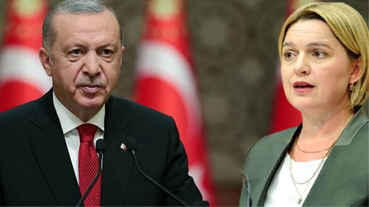 Cumhurbaşkanı Erdoğan\'dan CHP\'li Böke\'nin iddialarına yanıt: Onun amacı ülkemizin yeniden bataklığa saplanmasıdır