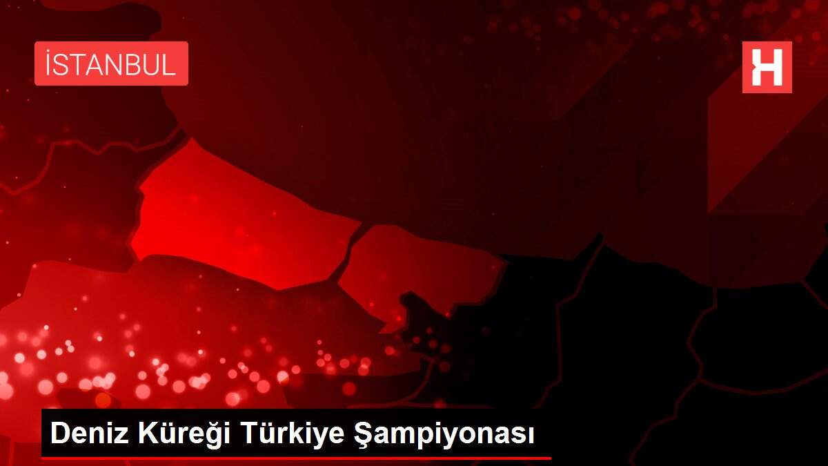 Deniz Küreği Türkiye Şampiyonası