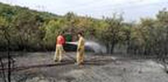 Gebze'de orman yangınında 10 dönümlük alan zarar gördü