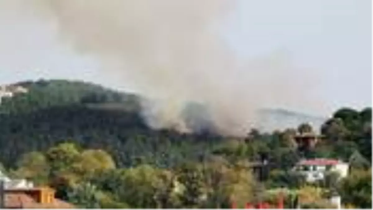 İstanbul\'da yerleşim yerlerine yakın iki noktada orman yangını