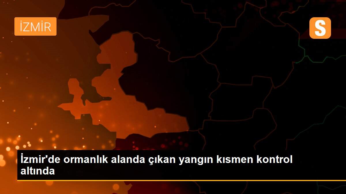 Son dakika... İzmir\'de ormanlık alanda çıkan yangın kısmen kontrol altında