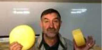 'Kars kaşarı İsviçre'nin Appenzeller peynirinin ciddi bir rakibidir'