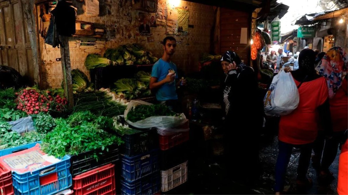 Lübnan\'da \'şehir tarımı\' neden yaygınlaşıyor?