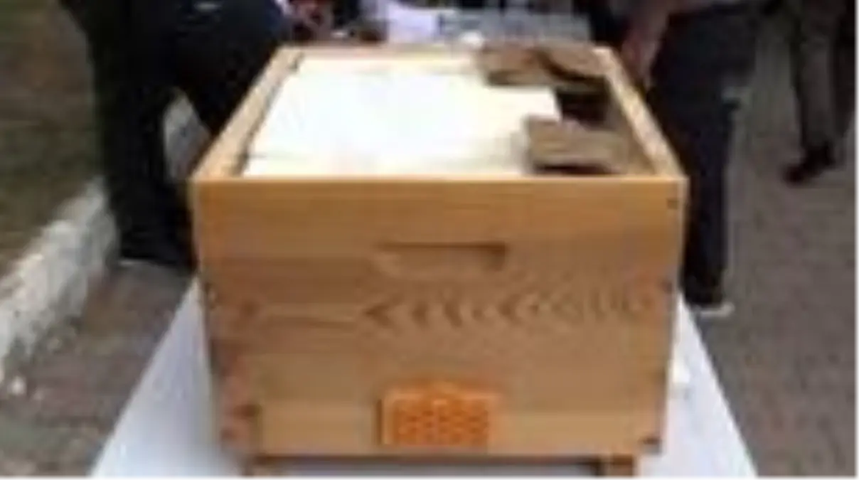 Oyları arı kovanına attılar