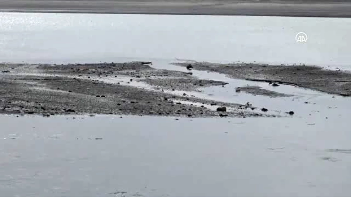 Son dakika haberleri | Toplu balık ölümlerinin yaşandığı Arpaçay Barajı\'nın kapakları kısmen kapatıldı - KARS