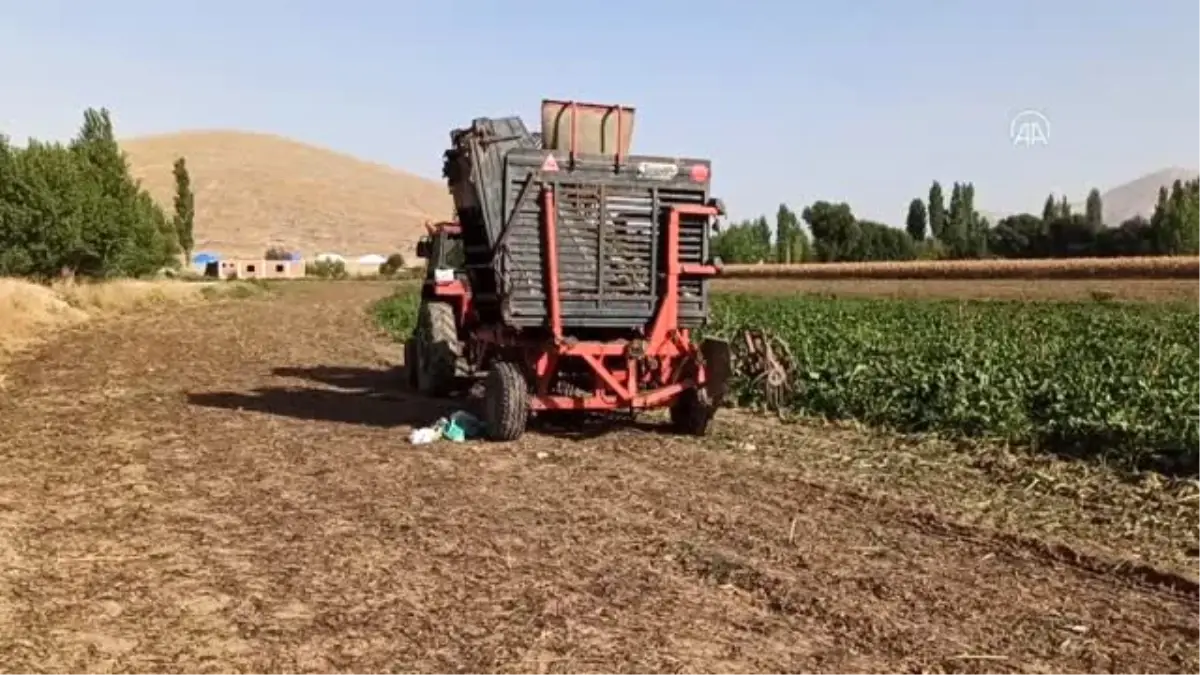 Son dakika haber | Ağabeyinin kullandığı traktörün altında kalan kişi öldü