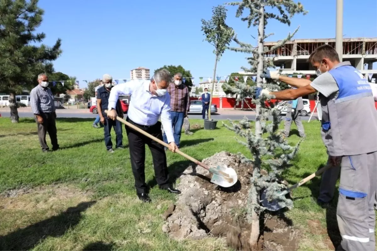 Başkan Dr. Mustafa Palancıoğlu"fidan değil, ağaç dikiyoruz"