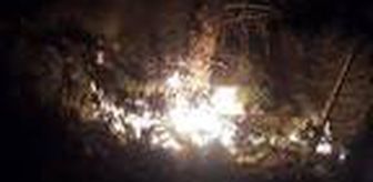 Son dakika... Bergama'da orman yangını (3)