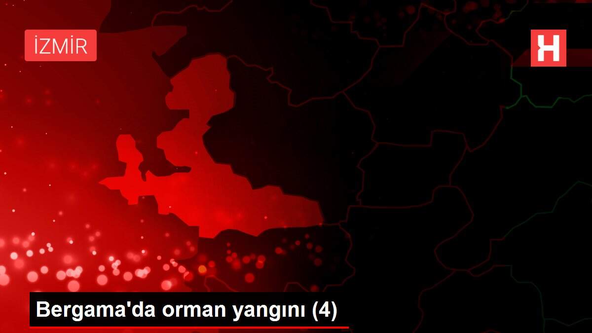 Bergama'da orman yangını (4)