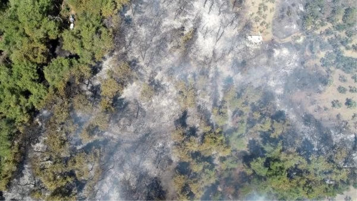 Son dakika haber... Bursa\'da orman yangını (2)