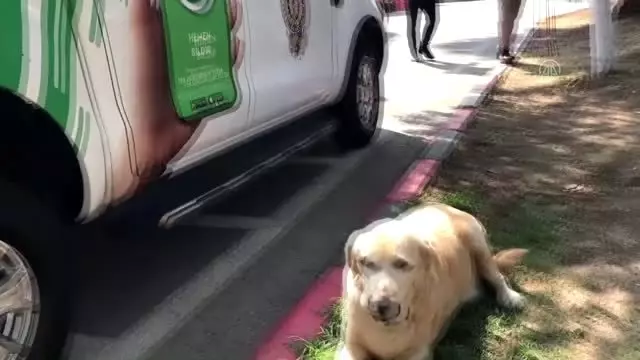 "Çevre, Doğa ve Hayvanları Koruma" polisleri Adana'da ...