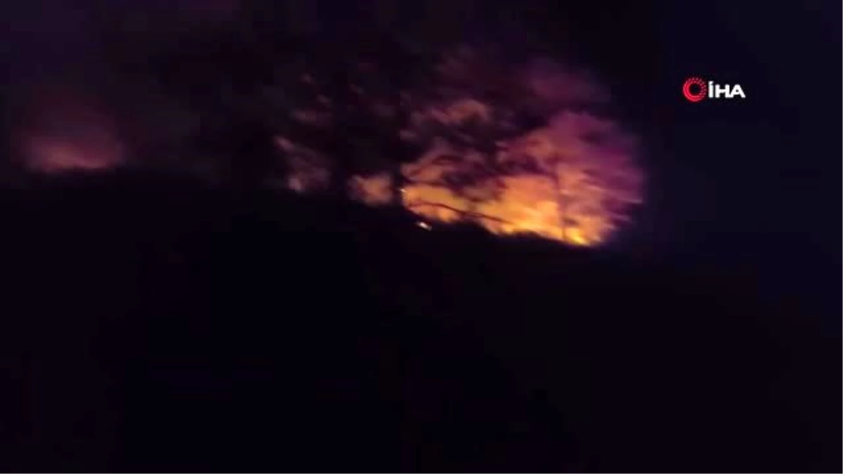 Düzce\'de orman yangınına müdahale sürüyor