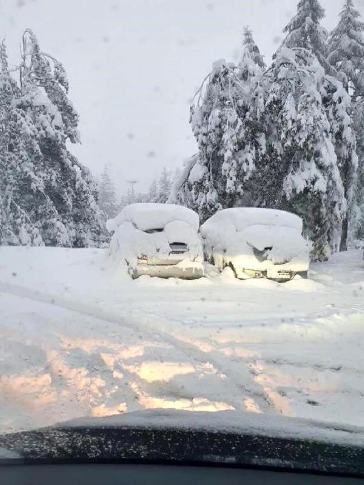 İsviçre\'de Eylül ayında kar sürprizi: Kar kalınlığı 25 cm\'e ulaştı