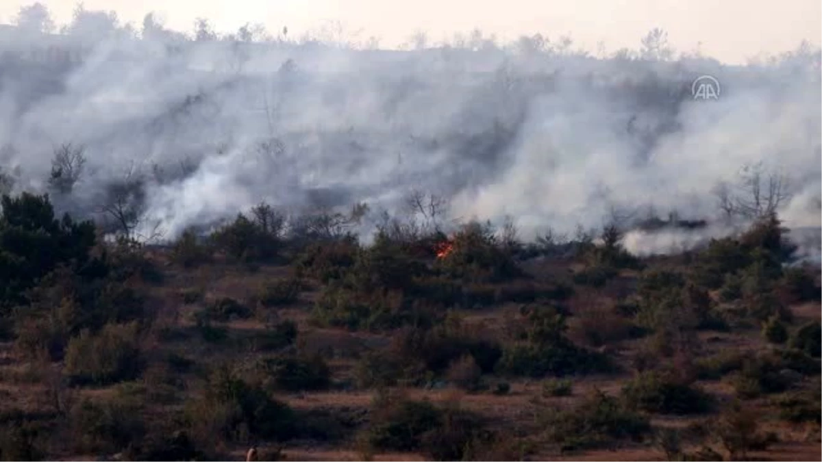 Orman yangınına müdahale ediliyor - Vali Ahmet Ümit