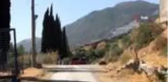 Son dakika haberi... Söke'deki orman yangını olağanüstü çabalarla kontrol altına alındı