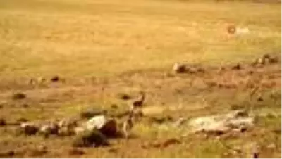 Taş ocağı firmasından tepki çeken girişim