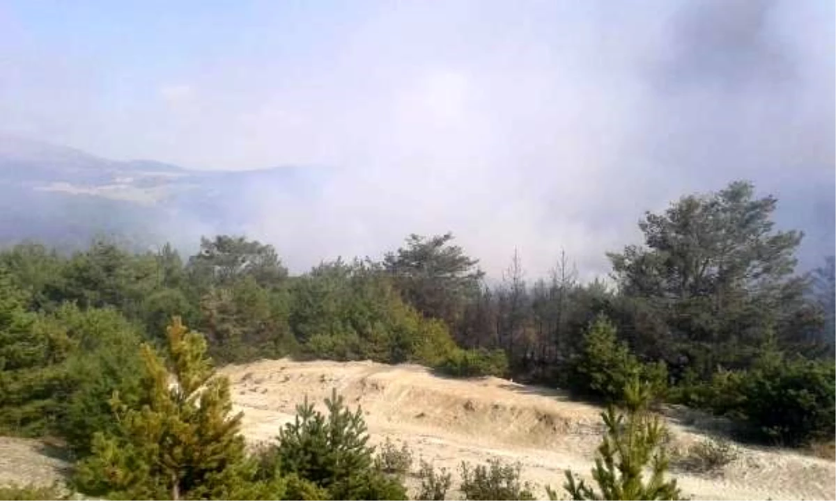 Tokat\'ta orman yangını