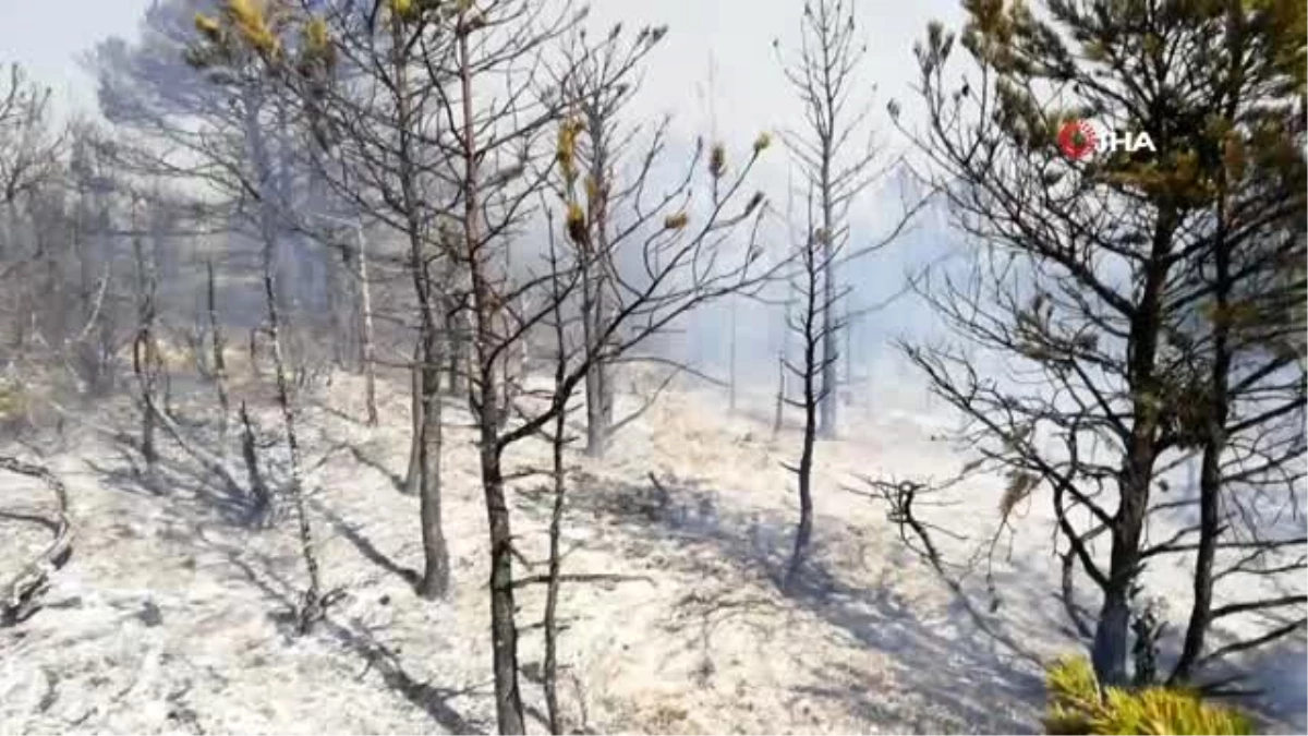 Tokat\'ta orman yangını, ekiplerin müdahalesi sürüyor