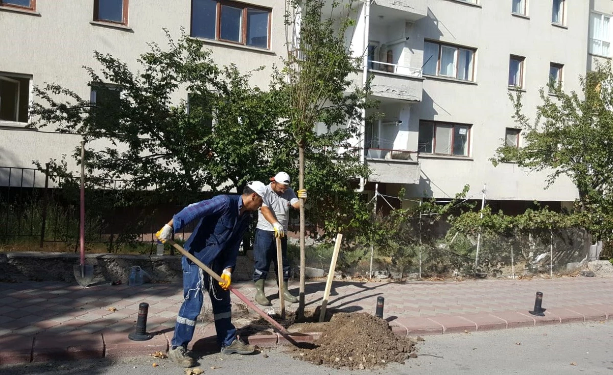 Başkan Altınok: herkesin bir dikili ağacı olacak