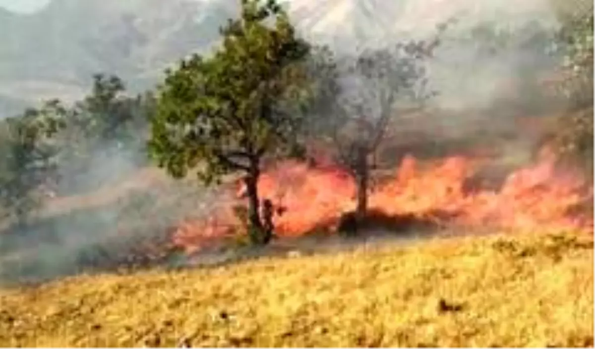 Son dakika haberi... Elazığ\'da orman yangını