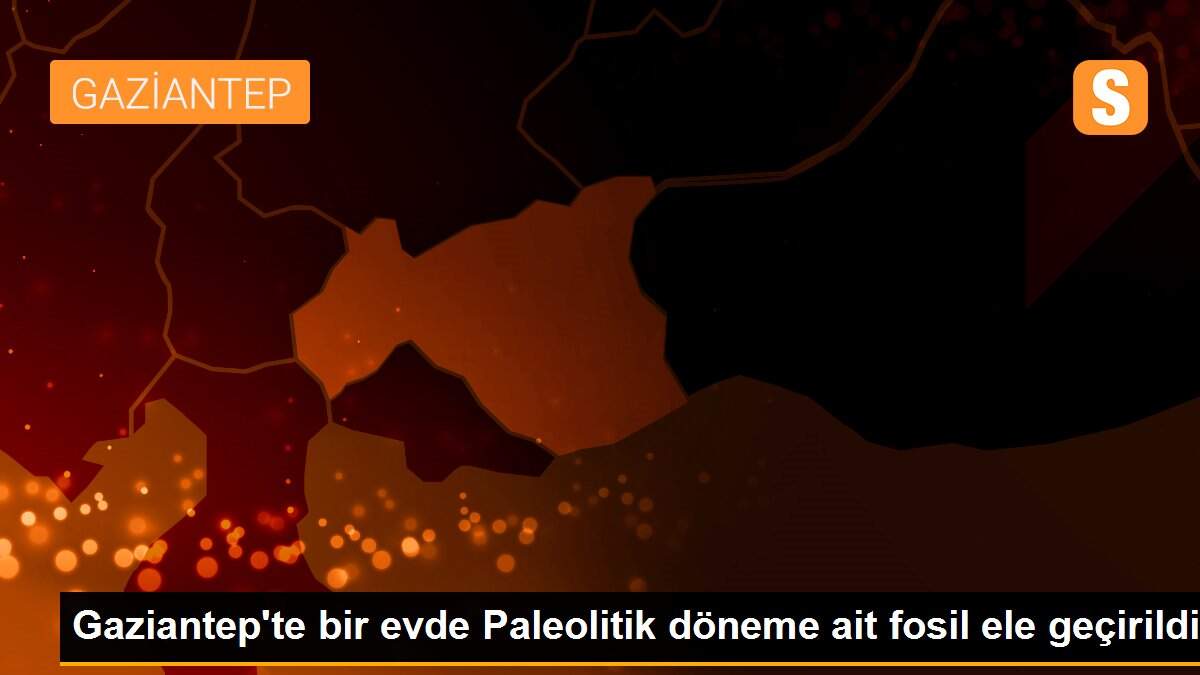 Gaziantep\'te bir evde Paleolitik döneme ait fosil ele geçirildi