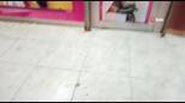 Havanın kararmasıyla ilçeyi sinekler bastı, esnaf iş yerini kapattı - Son Dakika