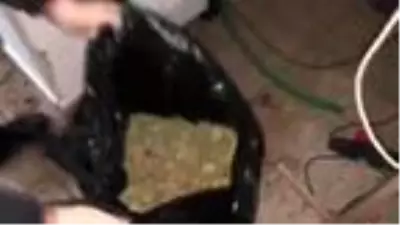 Son dakika... Kartal ve Pendik'te uyuşturucu serasına çevrilen villalara operasyon kamerada Son dakika... Kartal ve Pendik'te uyuşturucu serasına çevrilen villalara operasyon kamerada